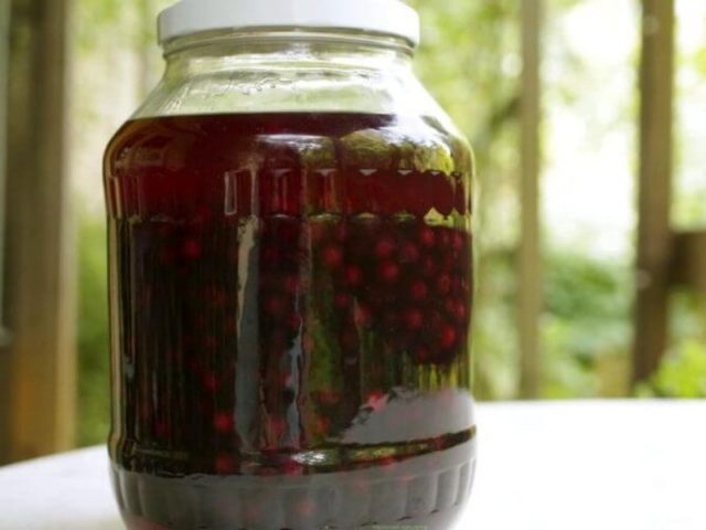 Как сделать настойку из черемухи на спирте, водке в домашних условиях